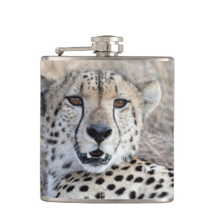 Cheetah Porträtt Fickplunta