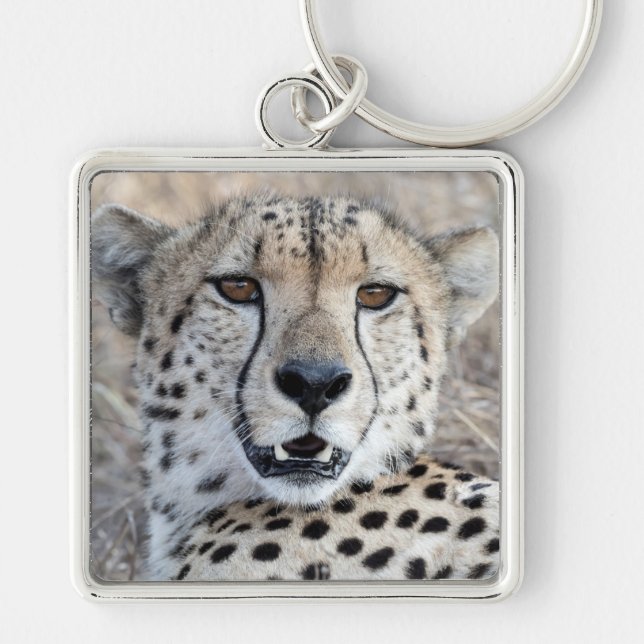 Cheetah Porträtt Fyrkantig Silverfärgad Nyckelring (Framsidan)
