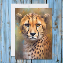 Cheetah Porträtt