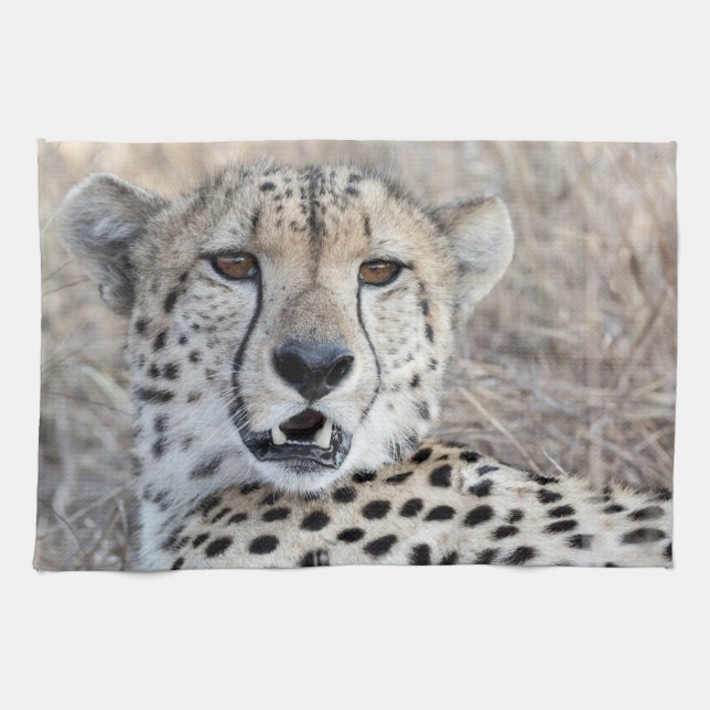 Cheetah Porträtt Kökshandduk (Horisontell)