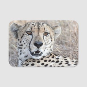 Cheetah Porträtt Namnbricka