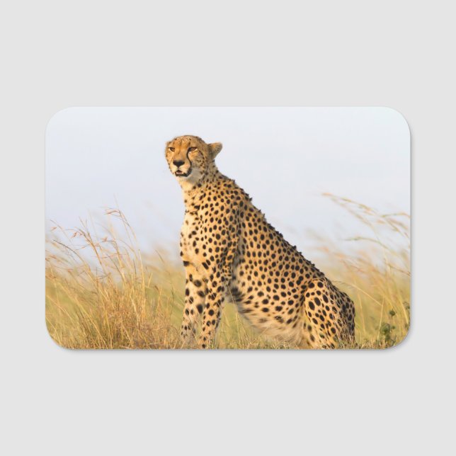 Cheetah Porträtt Namnbricka (Framsida)