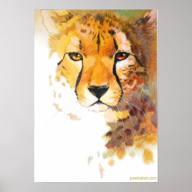 Cheetah! Poster (Framsidan)