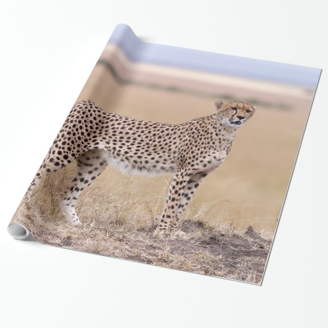Cheetah Presentpapper (Utrullad)