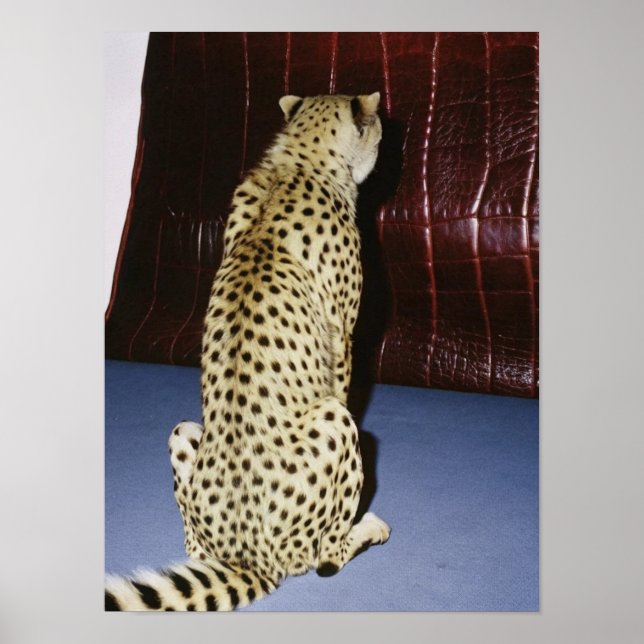 Cheetah Print Poster (Framsidan)
