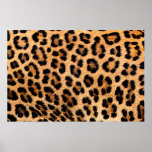 Cheetah print texture poster