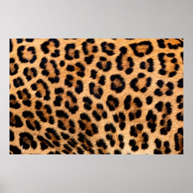 Cheetah print texture poster (Framsidan)