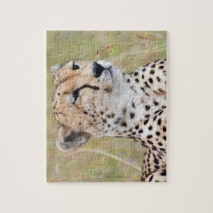 Cheetah Pussel