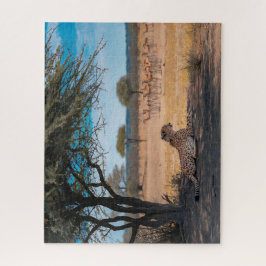 Cheetah Rester under Acacia Träd Pussel