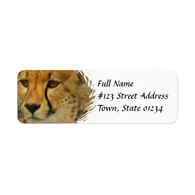 Cheetah Returadress Mailing Label Etikett (Framsidan)