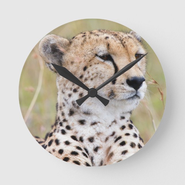 Cheetah Rund Klocka (Framsida)