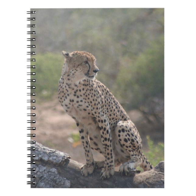 Cheetah sitta på ett fallande träd i vilden anteckningsbok (Framsidan)