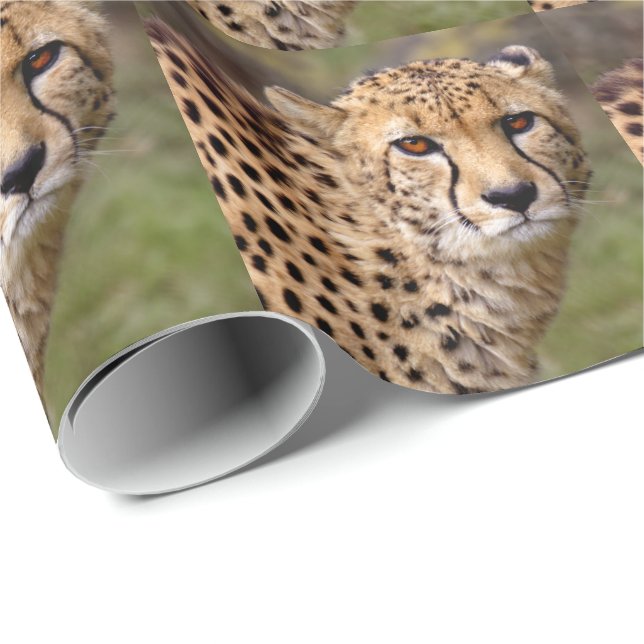 Cheetah som slår in papper presentpapper (Rullad Hörn)