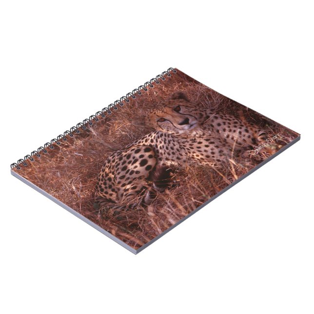 Cheetah Stare Anteckningsbok Med Spiral (Vänstra Sidan)