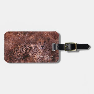 Cheetah Stare Bagagebricka
