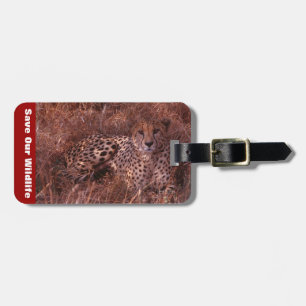 Cheetah Stare Bagagebricka