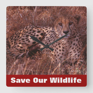 Cheetah Stare Fyrkantig Klocka