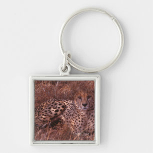Cheetah Stare Fyrkantig Silverfärgad Nyckelring