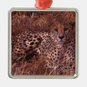 Cheetah Stare Julgransprydnad Metall