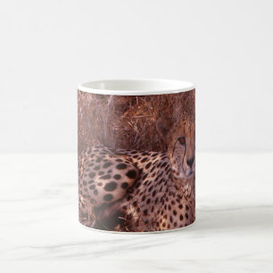 Cheetah Stare Kaffemugg