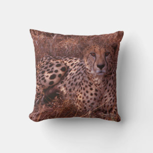 Cheetah Stare Kudde