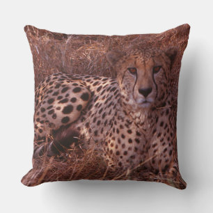 Cheetah Stare Kudde