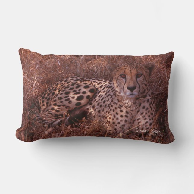 Cheetah Stare Lumbarkudde (Framsida)