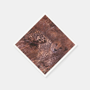 Cheetah Stare Pappersservett