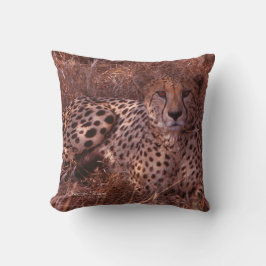 Cheetah Stare Pillow Kudde