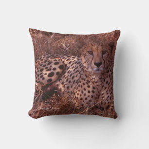 Cheetah Stare Pillow Kudde