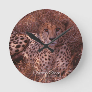 Cheetah Stare Rund Klocka