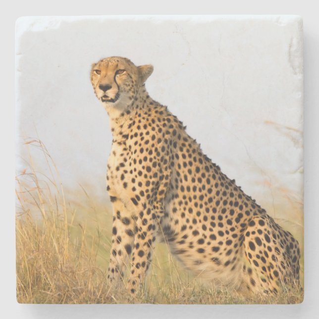 Cheetah Stenunderlägg (Framsidan)