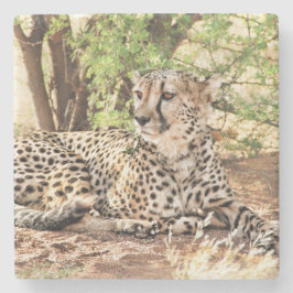 Cheetah Stenunderlägg