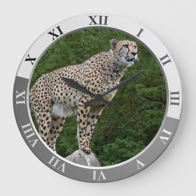 Cheetah Stor Klocka (Framsida)