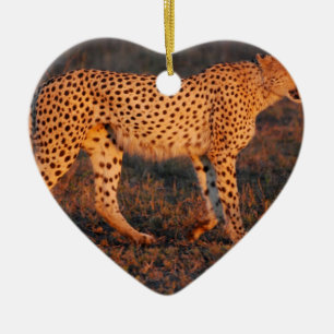 Cheetah Sydafrika på solnedgången Julgransprydnad Keramik