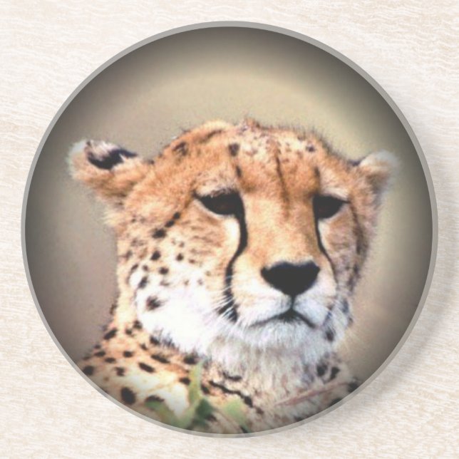 Cheetah Tear Marks Hakunamatata Underlägg (Framsidan)