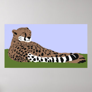 cheetah tittar och poster