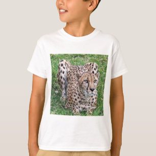 Cheetah Tröja