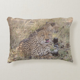 Cheetah tunga vid prydnadskudde