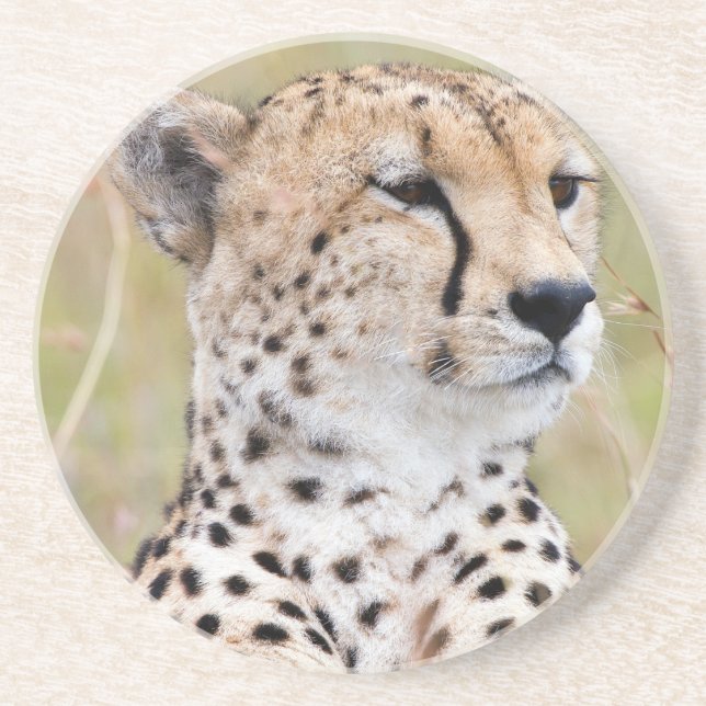 Cheetah Underlägg (Framsidan)