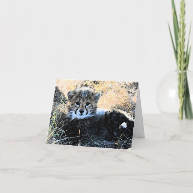 Cheetah unge anpassade-anteckningskort kort (Framsida)