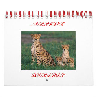 cheetah-unge, NORPHLET, LEOPARDS Kalender