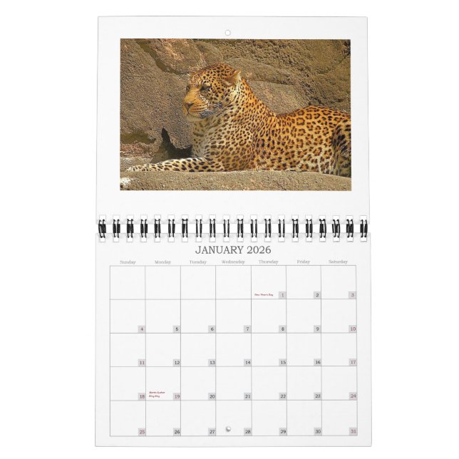 cheetah-unge, NORPHLET, LEOPARDS Kalender (Jan 2026)