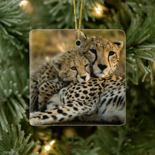 Cheetah Unge Snuggling med Mamma Julgransprydnad Keramik