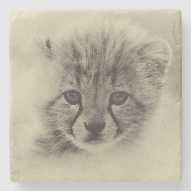 Cheetah Unge Stenunderlägg (Framsidan)