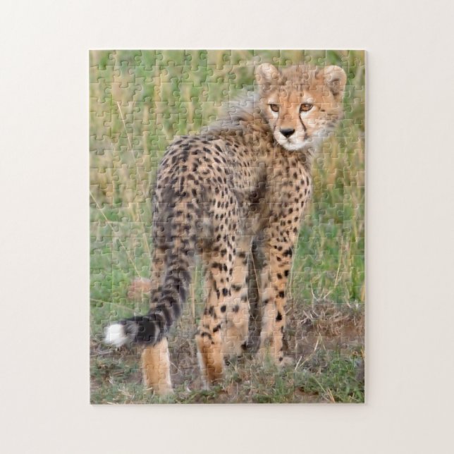 Cheetah Unge Tittar er väg. Pussel (Vertikal)