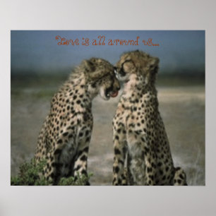 Cheetah-vänner Poster