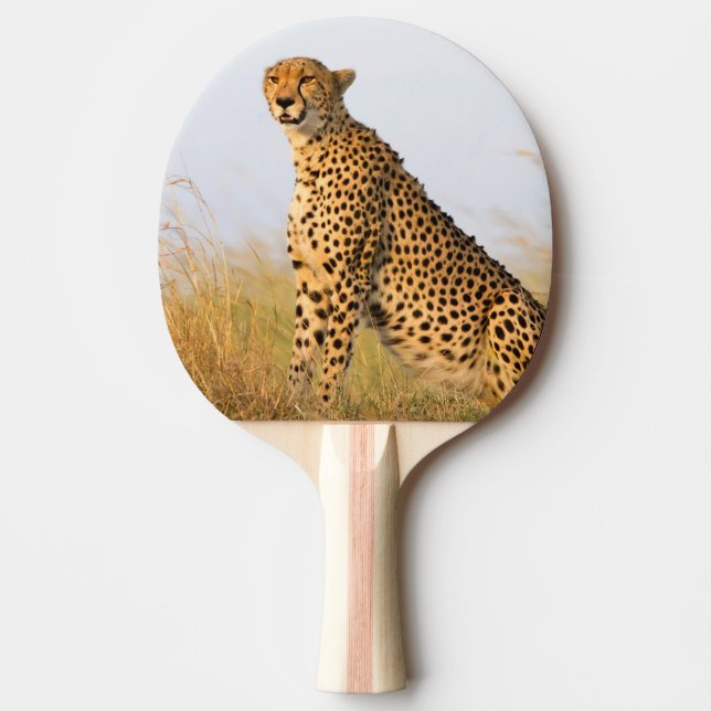Cheetah vild animal Big Cat Pingisracket (Framsidan)