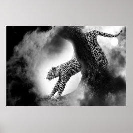 cheetah vild katt på jakten poster