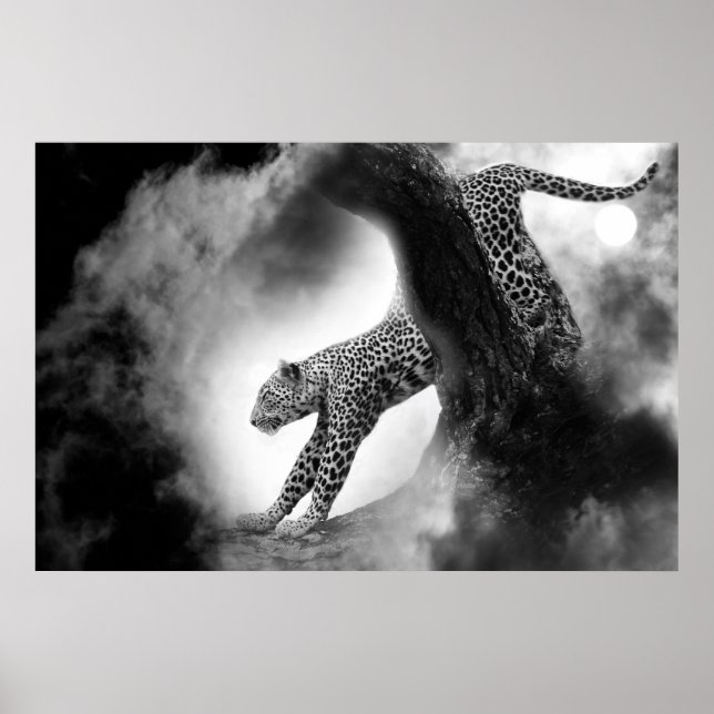 cheetah vild katt på jakten poster (Framsidan)